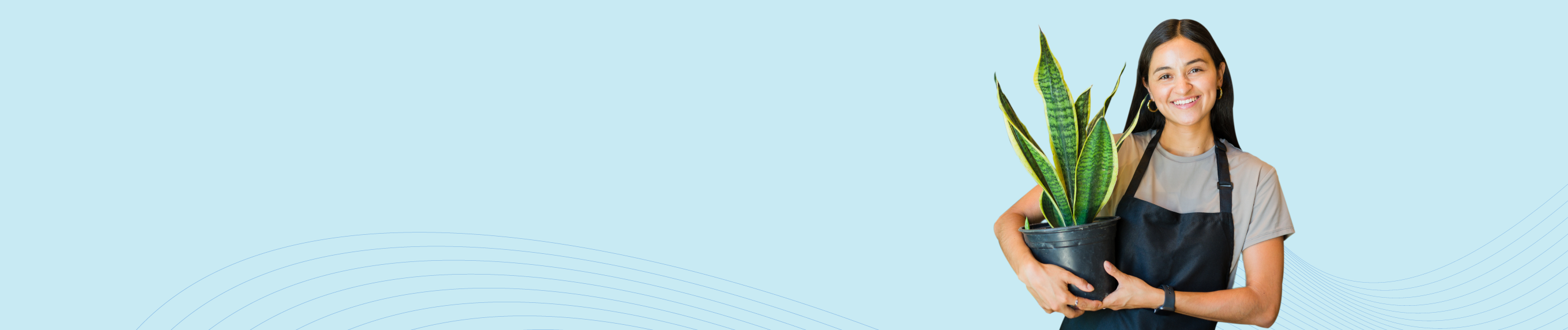 Imagen del banner FicoFácil